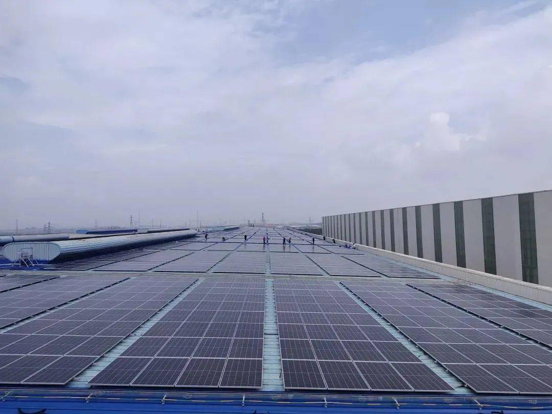 龙8头号玩家(国际集团)官方网站